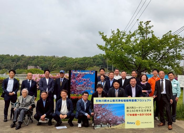 河津桜植樹の再整備